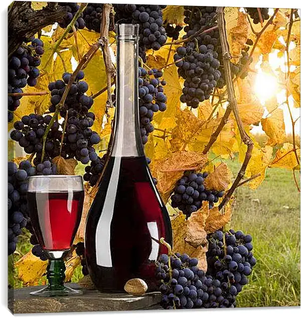 Постер на подрамнике - Вино в лучах солнца. Вкус осени.