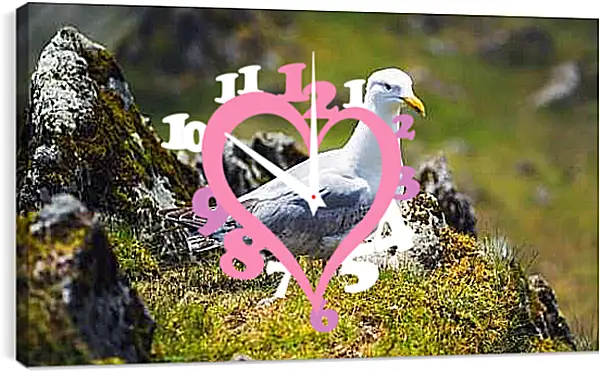 Часы картина - Чайка