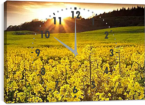 Часы картина - Красивые желтые цветки