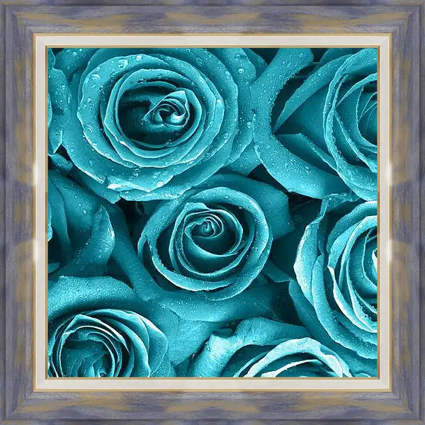 Картина в раме - Голубые розы