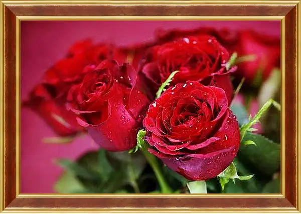 Картина в раме - Красные розы