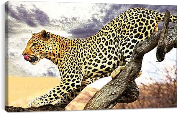 Постер на подрамнике - Леопард