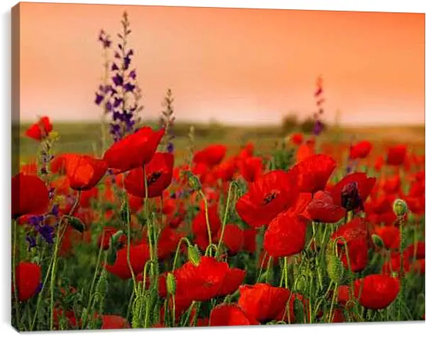 Постер на подрамнике - На закате