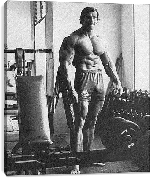Постер на подрамнике - Арнольд Шварценеггер (Arnold Schwarzenegger)