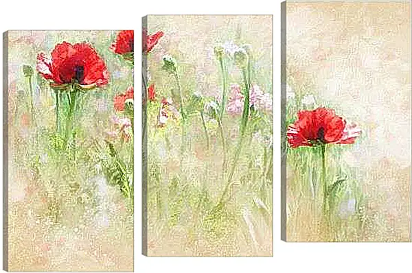 Модульная картина - Маки