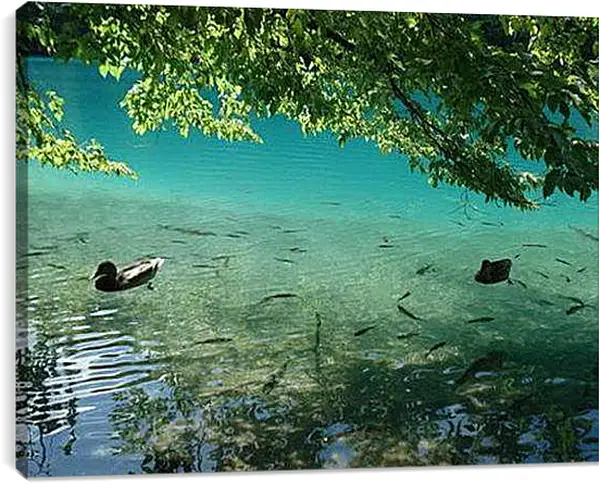 Постер на подрамнике - Плитвицкие озера