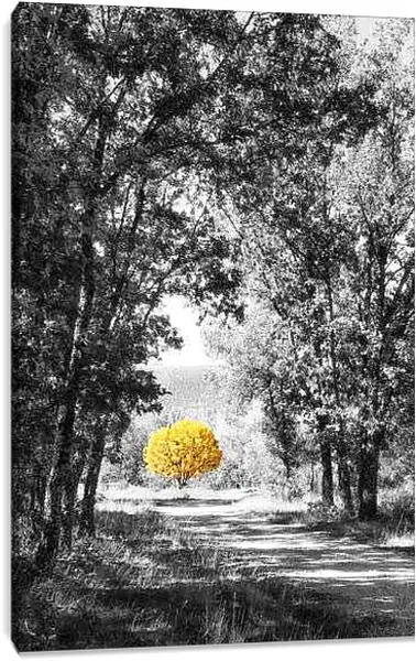 Постер на подрамнике - Аллея