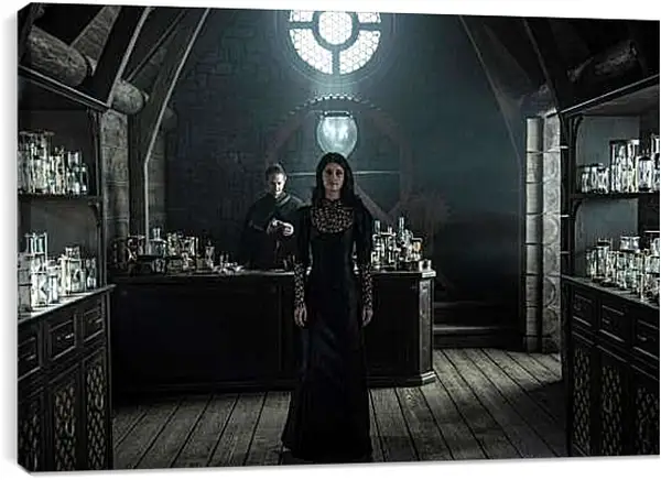 Постер на подрамнике - Ведьмак. The Witcher