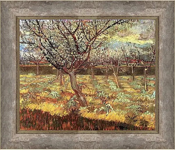 Картина в раме - Apricot Trees in Blossom 2. Винсент Ван Гог