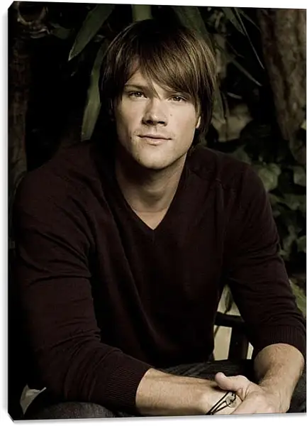 Постер на подрамнике - Джаред Падалеки. Jared Padalecki