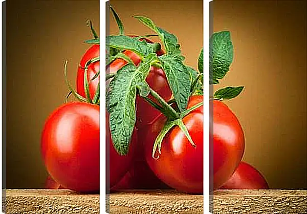 Модульная картина - Спелые помидоры. Сочные Томаты.