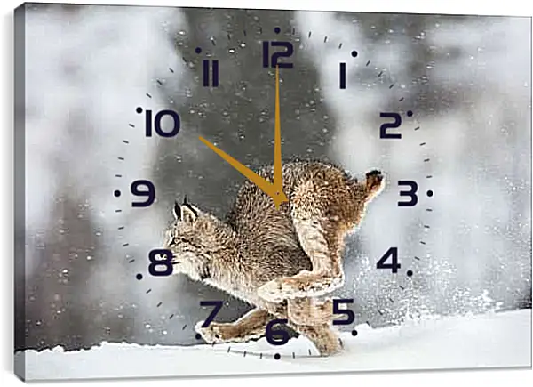 Часы картина - Рысь