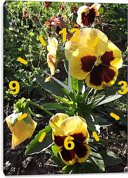 Часы картина - Анютины глазки