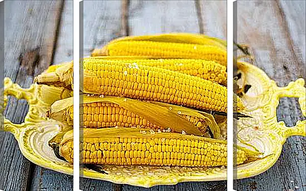 Модульная картина - Кукуруза на подносе. Золотой Урожай.