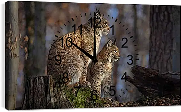 Часы картина - Рыси
