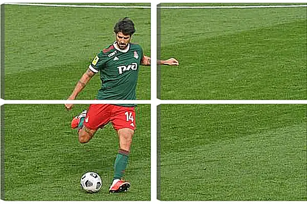 Модульная картина - Ведран Чорлука. ФК Локомотив Москва. FC Lokomotiv Moscow