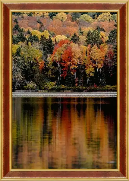 Картина в раме - Осенние цвета