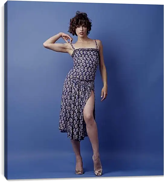 Постер на подрамнике - Милла Йовович. Milla Jovovich