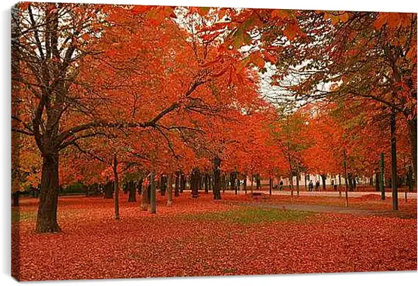 Постер на подрамнике - Осень