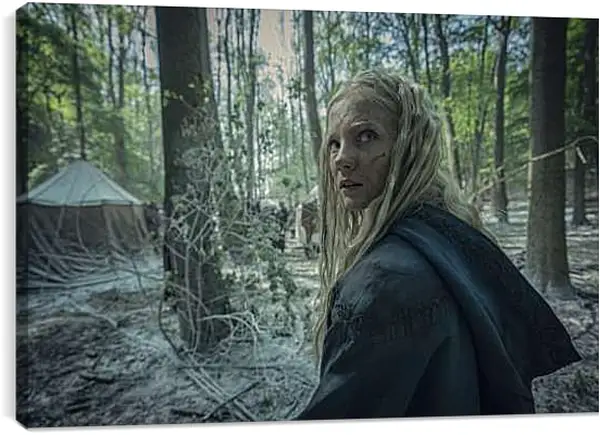 Постер на подрамнике - Ведьмак. The Witcher