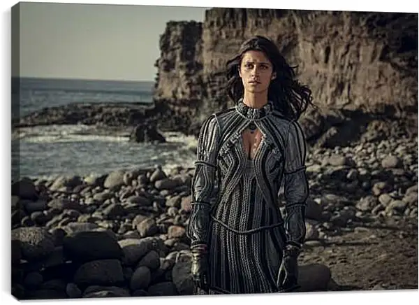 Постер на подрамнике - Ведьмак. The Witcher