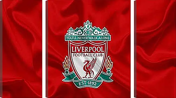 Модульная картина - Эмблема ФК Ливерпуль