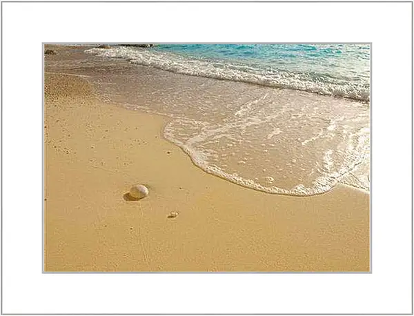 Картина в раме - Sea shore - Морской берег