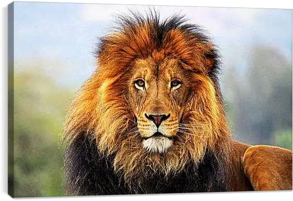 Постер на подрамнике - Лев