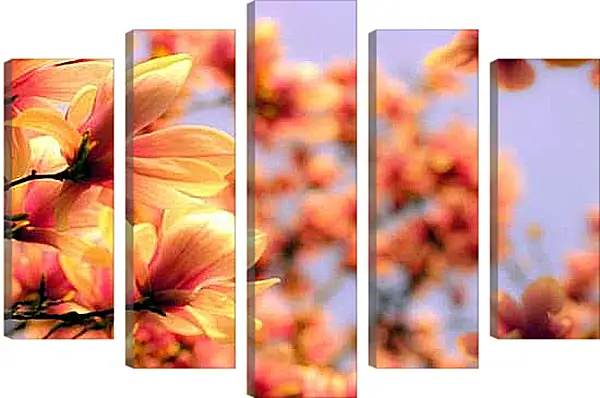 Модульная картина - Оранжевая магнолия