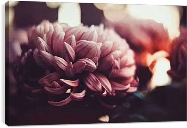 Постер на подрамнике - Нежный цветок