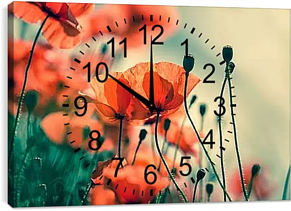 Часы картина - Маки