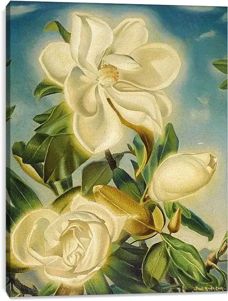 Постер на подрамнике - Цветы