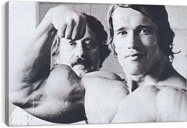 Постер на подрамнике - Арнольд Шварценеггер (Arnold Schwarzenegger)