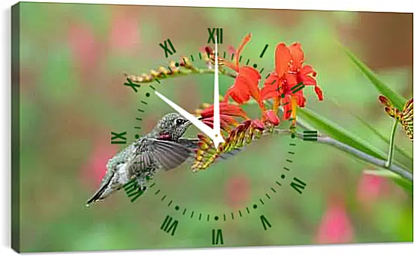 Часы картина - Колибри