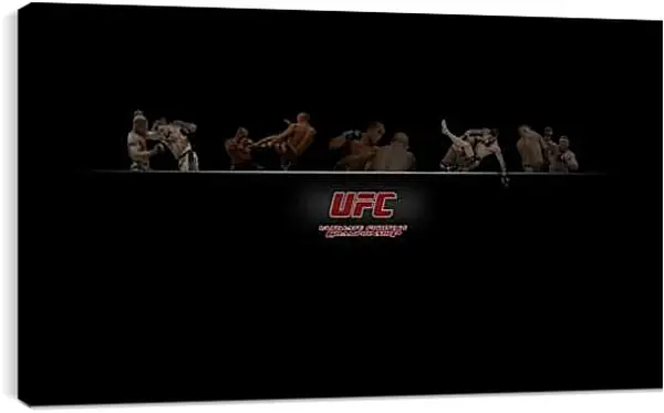 Постер на подрамнике - UFC.