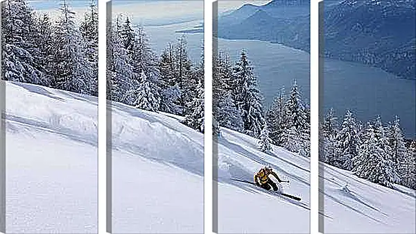 Модульная картина - Спускаясь по белоснежно снегу
