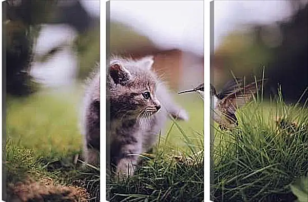 Модульная картина - Колибри и котёнок