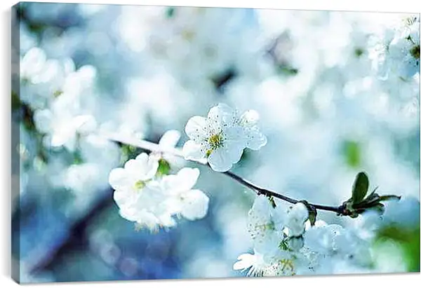 Постер на подрамнике - Весна