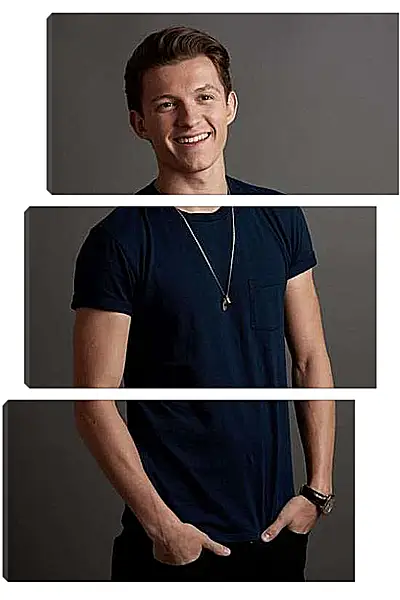Модульная картина - Том Холланд. Tom Holland