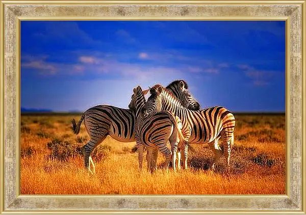 Картина в раме - Зебры