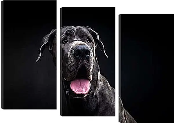 Модульная картина - Дог