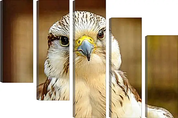 Модульная картина - Голова сокола с острым клювом