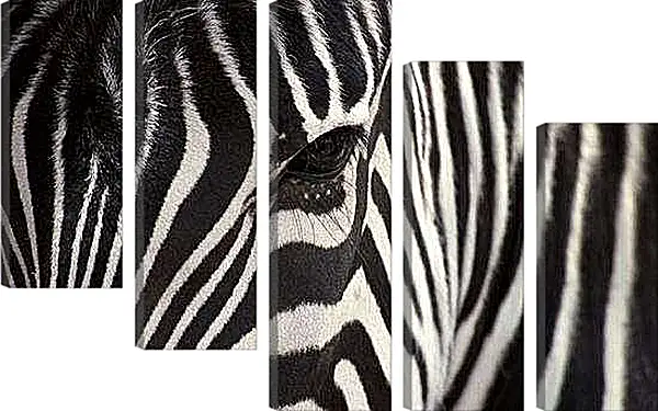 Модульная картина - Зебра