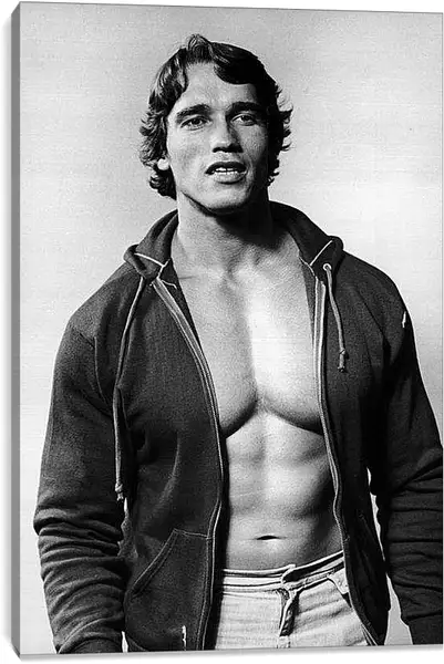 Постер на подрамнике - Арнольд Шварценеггер (Arnold Schwarzenegger)