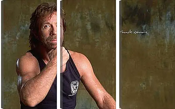 Модульная картина - Чак Норрис. Chuck Norris