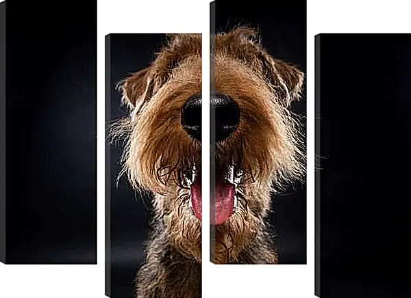 Модульная картина - Эрдельтерьер