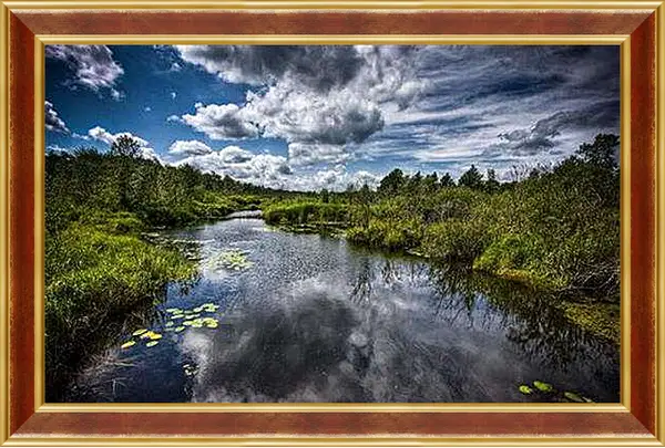 Картина в раме - Природа