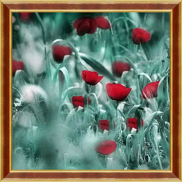 Картина в раме - Маки
