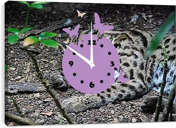 Часы картина - Дикая кошка