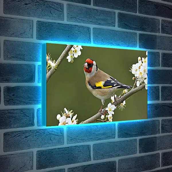 Лайтбокс световая панель - Весна